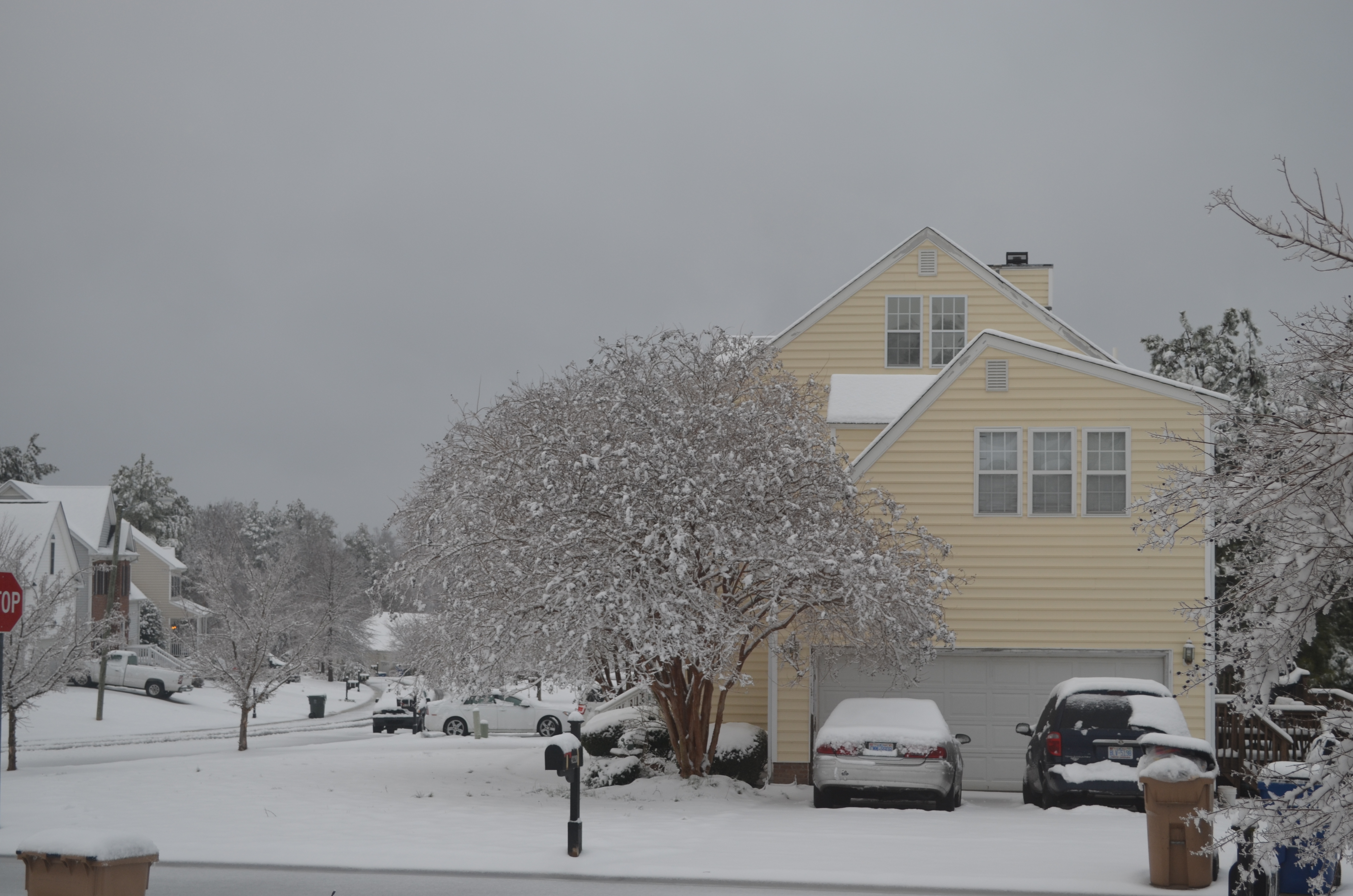 ./2015/03 - Snow/DSC_0412.JPG